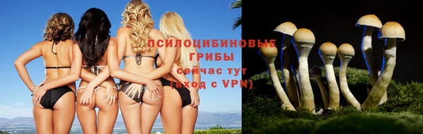 героин Абаза