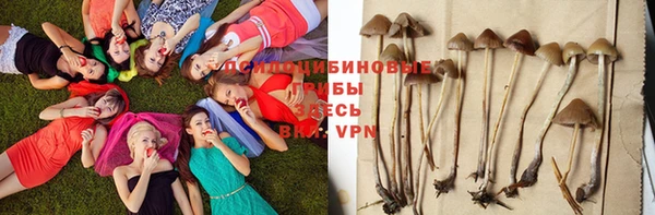 не бодяженный Няндома