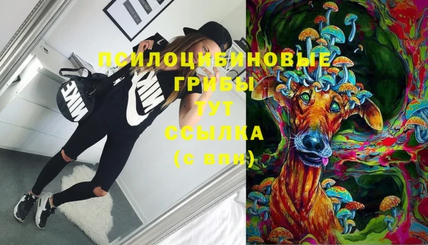 МДПВ Абдулино