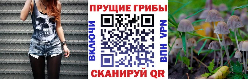 Псилоцибиновые грибы GOLDEN TEACHER  Духовщина 